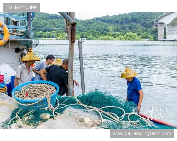 如何在ag捕鱼网中快速提升捕鱼技巧实现高分收益的实用方法