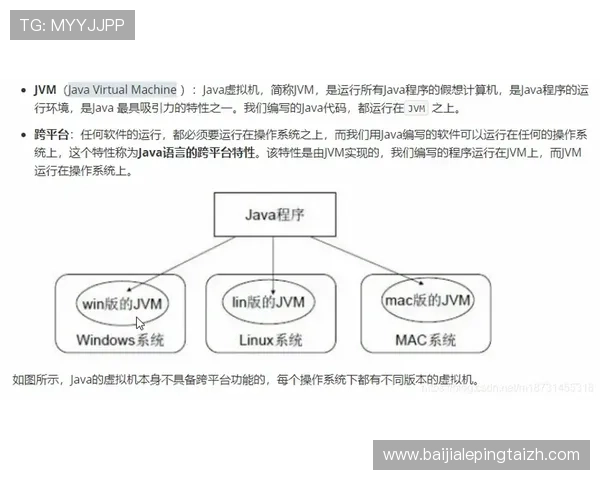 专业解析bb视讯维护流程确保游戏环境持续稳定运行